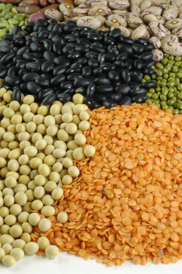 We are one of the largest suppliers of pulses, ...
