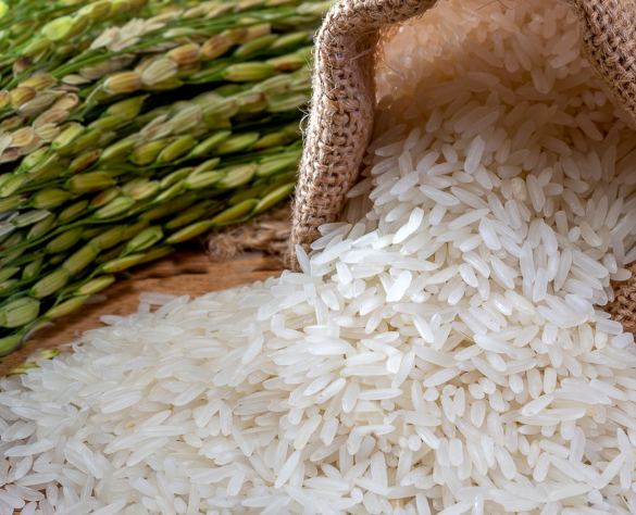 Rice is a staple food cherished across the globe, known for its versatility, nutrition, and rich taste.
