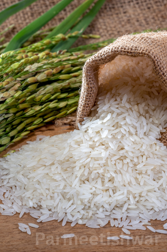 Rice is a staple food cherished across the globe, known for its versatility, nutrition, and rich taste.