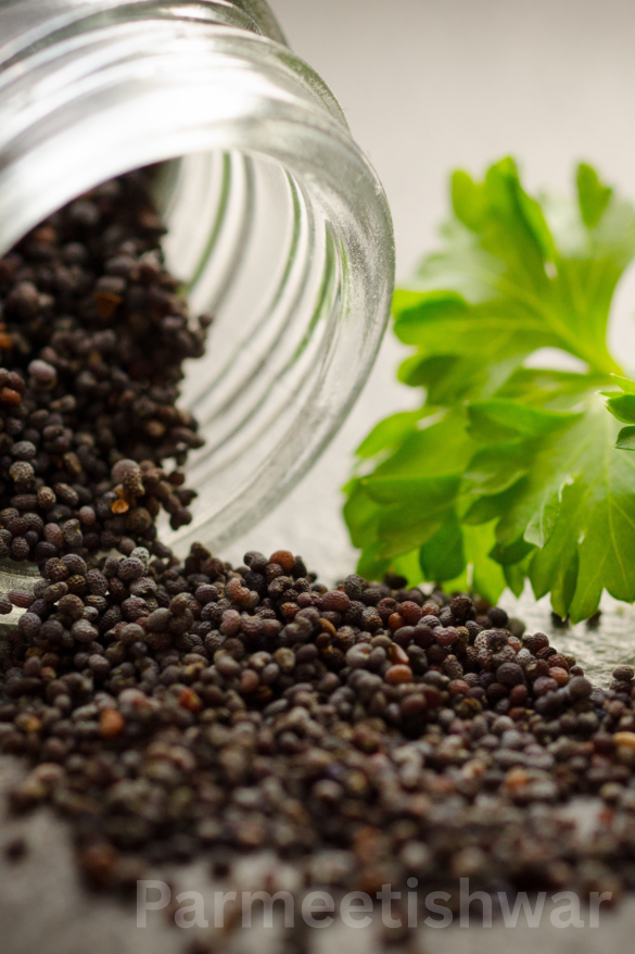 Tsram supplies one of the world's finest spice seeds, ...
