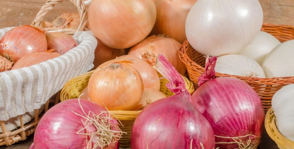 We supply a wide range of fresh and frozen fish & meat products, sourced directly from trusted farms