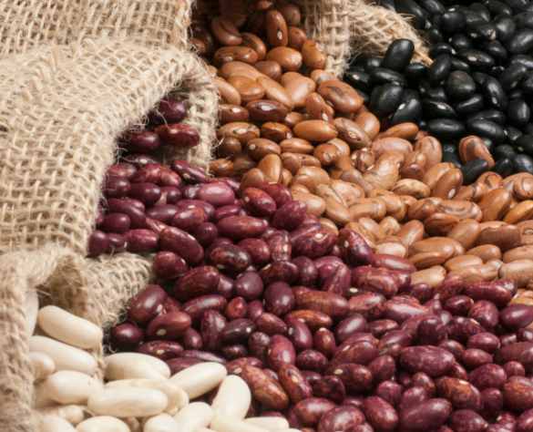 Beans are a powerhouse of nutrition, offering rich protein, dietary fiber, essential vitamins, and minerals.