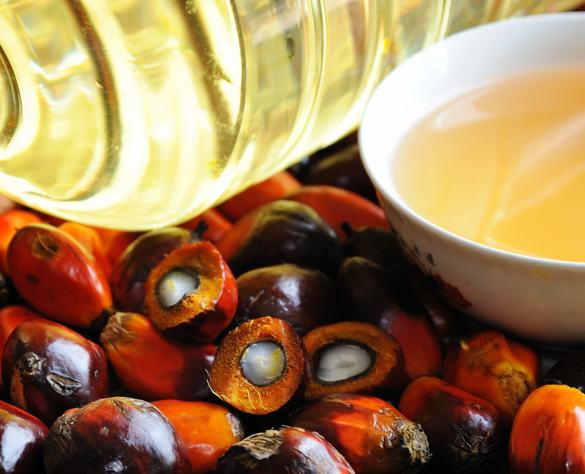 We supply high-quality refined vegetable oils and palm oils sourced from trusted manufacturers.